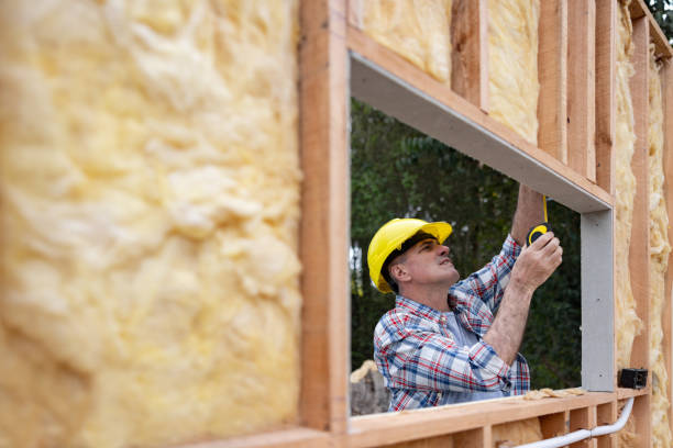 Best Attic Insulation Installation  in Isanti, MN